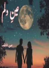 Ain e Dilam Cover