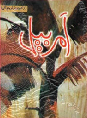 Amar Bail Cover