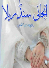 Anjani Cinderella Cover