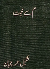 Meem Se Mohabbat Cover