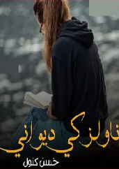 Novels Ki Dewani Cover