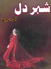 Shehr e Dil Cover