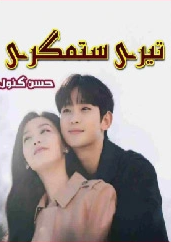 Teri Sitamgari Cover
