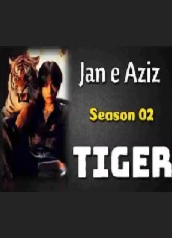 Tiger (Season 2 of Jaan e Aziz) Cover